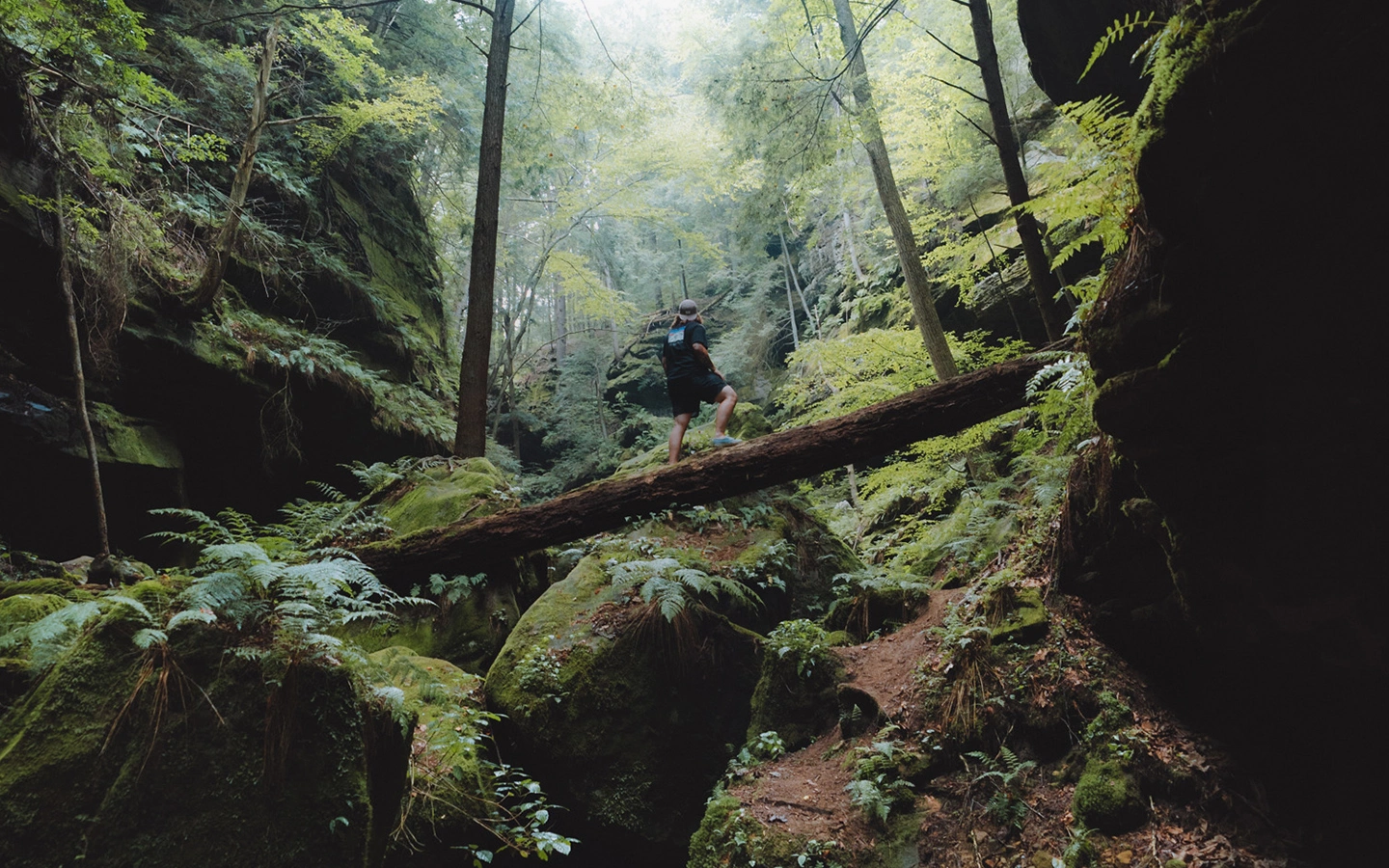 Conkle's Hollow State Nature Preserve