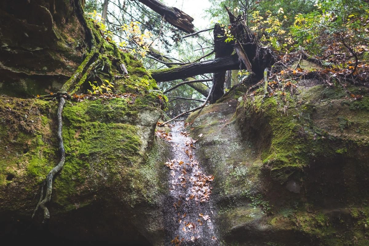 Hocking Hills Weekend Itinerary: A Relaxed 3-Day Getaway
