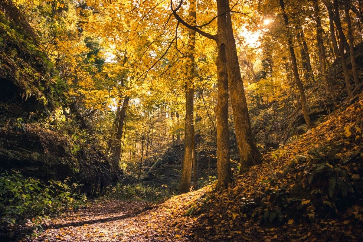Hocking Hills Weekend Itinerary: A Relaxed 3-Day Getaway 