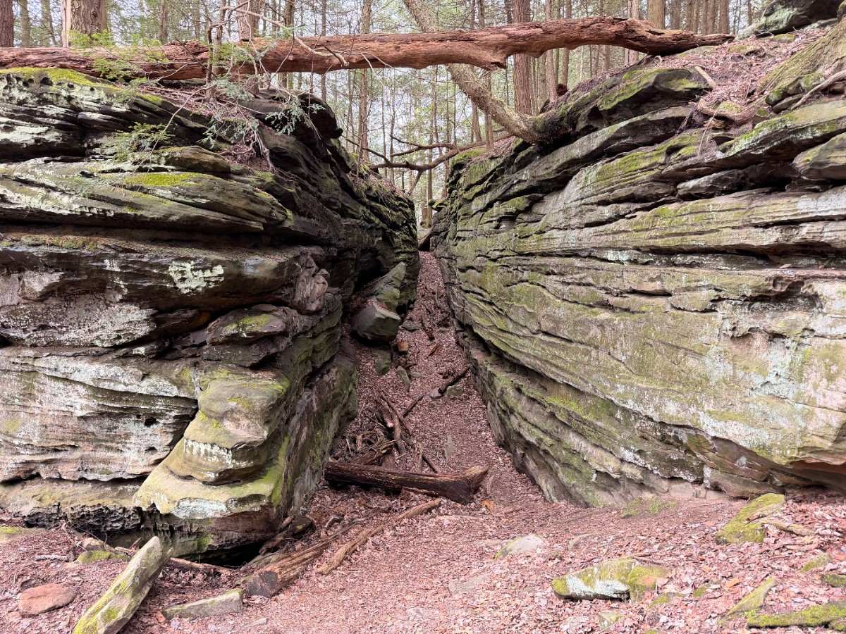 Best Time to Visit Hocking Hills: A Season-by-Season Guide 